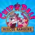 Chip 'n Dale Rescue Rangers 2 on Random Single NES Game