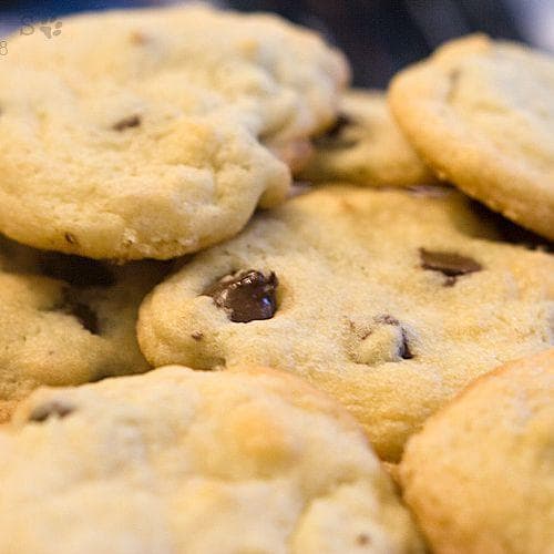 Chocolate Chip Cookies