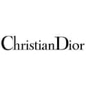 Christian Dior S.A. on Random Best Women's Shoe Designers