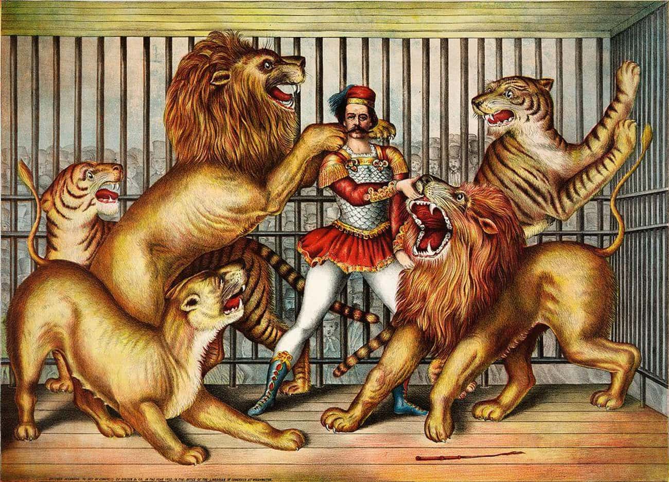 He Worked In A Circus As A Lion Tamer