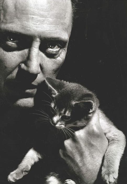 Celebrities Who Have Cats | List of Famous Cat People