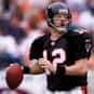 Chris Chandler is listed (or ranked) 11 on the list The Best Arizona Cardinals Quarterbacks of All Time