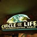 Circle of Life: An Environmental Fable on Random Best Rides at Epcot