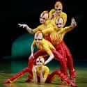 Cirque du Soleil on Random Best Canadian Brands