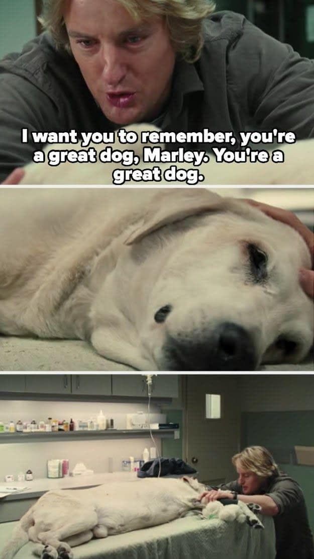 Fans Share Heartbreaking Animal Moments In Movies