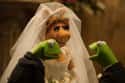 Muppets Most Wanted on Random Best Wedding Objection Scenes in Film History