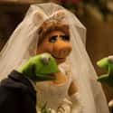 Muppets Most Wanted on Random Best Wedding Objection Scenes in Film History