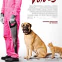 Anna Kendrick, Gemma Arterton, Ryan Reynolds   The Voices is a 2014 black comedy drama film directed by Marjane Satrapi and written by Michael R. Perry.