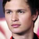 age 24   Ansel Elgort (born March 14, 1994) is an American actor, singer and DJ (under the name Ansølo).