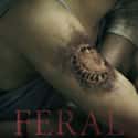 Feral on Random Best Zombie Movies Streaming on Hulu