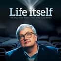 Life Itself on Random Best Documentaries About Writers
