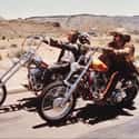 1969   Easy Rider is a 1969 American independent road drama film directed by Dennis Hopper.