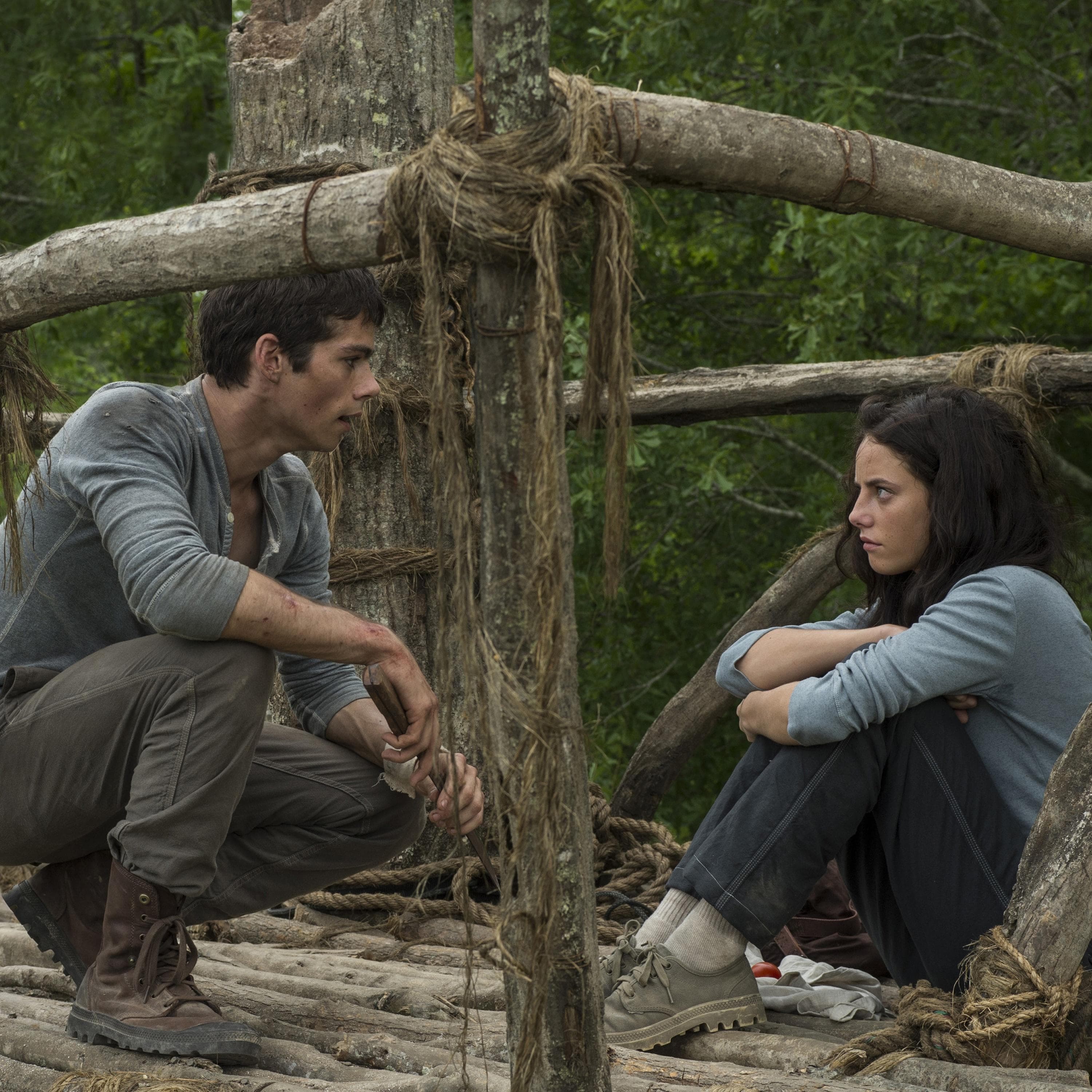 The 17 Best Movies Like 