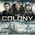 The Colony on Random Best Recent Survival Shows & Movies