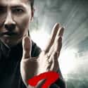 Ip Man 3D on Random Best Martial Arts Movies Streaming on Netflix