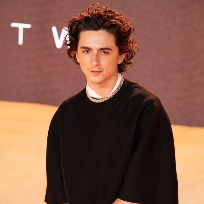 Timothée Chalamet