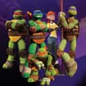 Teenage Mutant Ninja Turtles on Random Best Computer Animation TV Shows
