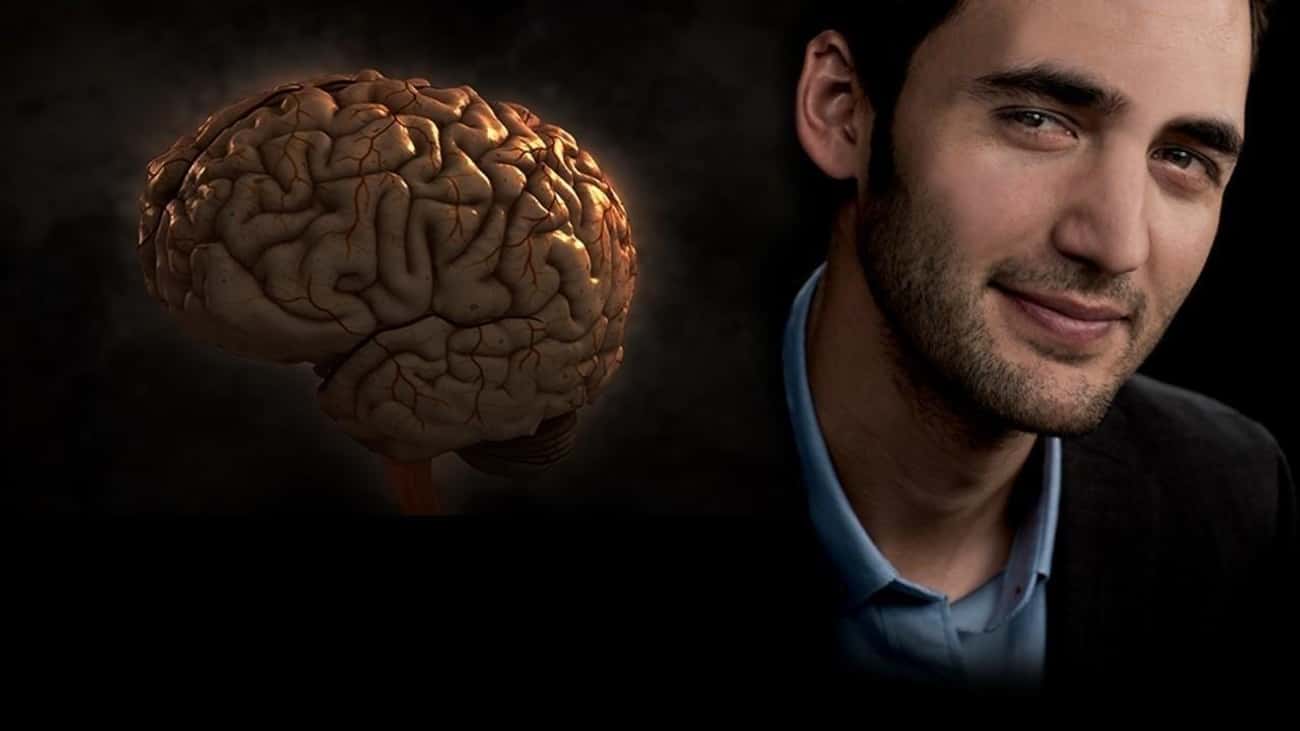 Игра про мозги. Игра Brain. Игры разума National Geographic. Игры разума мозг.