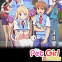 The Pet Girl of Sakurasou on Random Best Anime On Crunchyroll