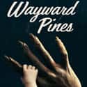 Wayward Pines on Random TV Shows Canceled Before Their Time