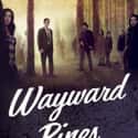 Wayward Pines on Random Movies and TV Programs After 'Sense8'