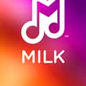 Milk Music on Random Best Free Music Apps for Android