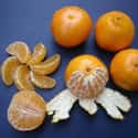 Clementine on Random Very Best Citrus Fruits