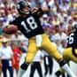 Cliff Stoudt is listed (or ranked) 22 on the list The Best Pittsburgh Steelers Quarterbacks of All Time