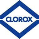 Clorox on Random Best Cat Litter Brands