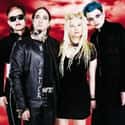 The Best of Coal Chamber, Chamber Music, Coal Chamber   Coal Chamber is an American nu metal band formed in Los Angeles, California, in 1993. Prior to Coal Chamber, Dez Fafara and Meegs Rascón formed the band She's In Pain in 1992.