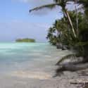 Cocos Island on Random Best Scuba Destinations In World