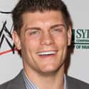Cody Rhodes on Random WWE Should Sign These Wrestlers Immediately
