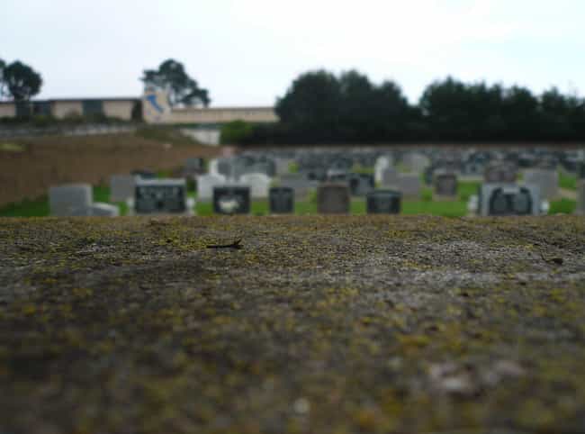 Colma, CA ?C Where Two Million People Have Been Laid To Rest