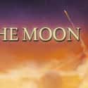To the Moon is a 2011 role-playing adventure video game developed and published by Freebird Games.