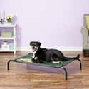 Coolaroo Steel Frame Pet Bed on Random Best Pet Products You Can Buy On Amazon Right Now