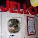 Jell-O Museum on Random Food Museums Around World