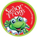 Señor Frog's on Random Best Mexican Restaurant Chains