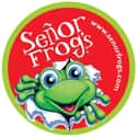 Señor Frog's on Random Best Mexican Restaurant Chains