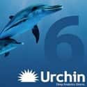 Urchin Software on Random Best Google Acquisitions