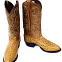 Larry Mahan on Random Best Cowboy Boots
