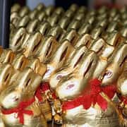 Chocolate Lindt Gold Bunny