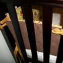 californiababy.com on Random Top Baby Furniture Websites