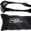 seaspecs.com on Random Top Sunglasses Websites