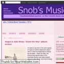 snobsmusic.com on Random Best Indie Music Blogs