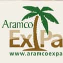 Aramco Expats on Random Social Networks for Expats