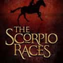 The Scorpio Races on Random Young Adult Novels That Should Be Adapted to Film