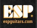 espguitars.com on Random Musical Instrument Websites