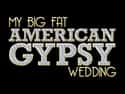 My Big Fat American Gypsy Wedding on Random TV Shows and Movies For 'Married At First Sight' Fans