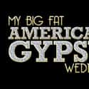 My Big Fat American Gypsy Wedding on Random Best Wedding Shows in TV History