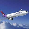 Hawaiian Airlines on Random Best Airlines for Domestic Travel in the US